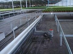 PVC-Greenhouses-Holland-4